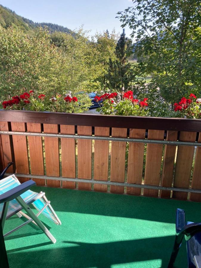 Gemuetliche Ferienwohnung In Sankt Blasien Extérieur photo