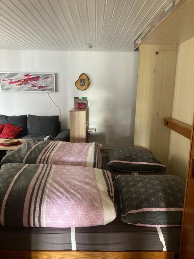 Gemuetliche Ferienwohnung In Sankt Blasien Extérieur photo