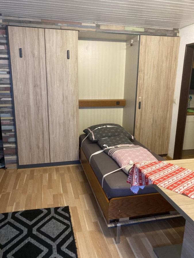Gemuetliche Ferienwohnung In Sankt Blasien Extérieur photo