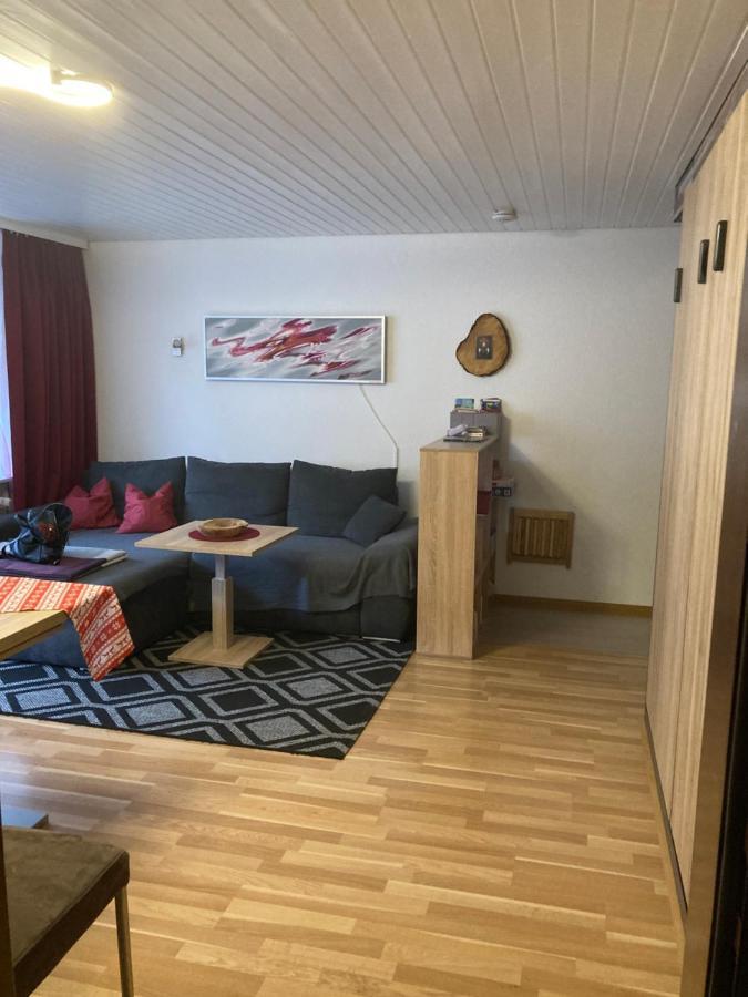 Gemuetliche Ferienwohnung In Sankt Blasien Extérieur photo